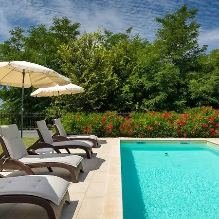 Modern Eva With Pool Near Buje